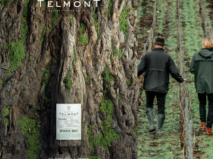 Champagne Telmont : la quête d’une durabilité éclairée